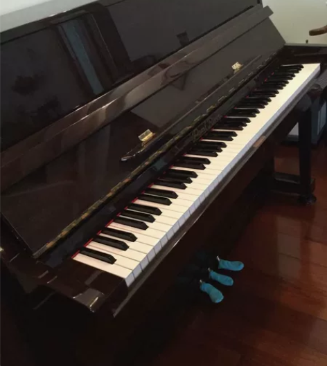 专业出售低价珠江钢琴,有意向可以咨询 感兴...