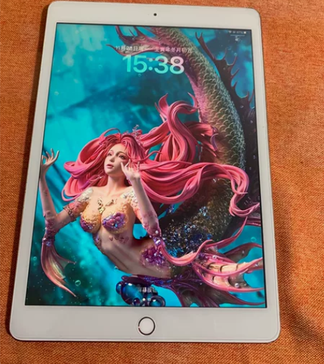国行IPad 2020 10.2寸第8代 ...