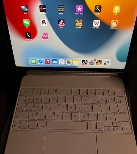 出国行wifi版 iPad Pro 202...