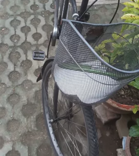 飞鸽自行车  成色如图   去年买的  闲...