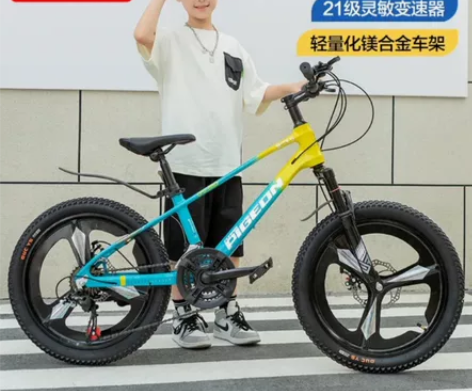 飞鸽自行车全新 感兴趣的话点“我想要”和我...