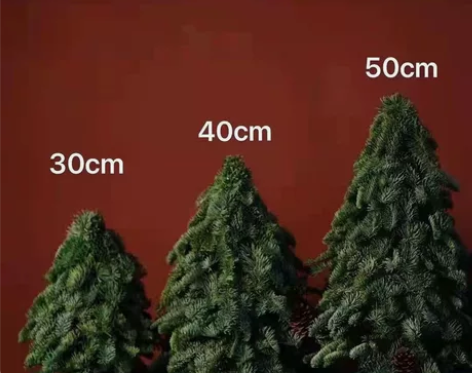 国产诺贝松圣诞节平安夜花材新鲜采摘室内水养...