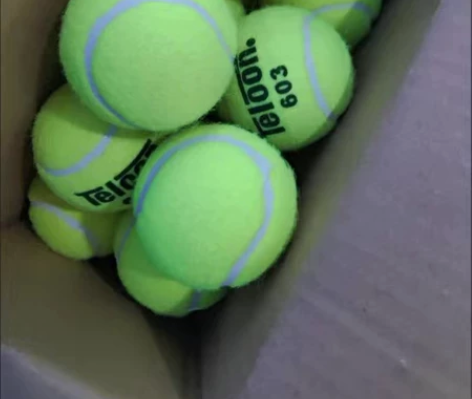 【急出】网球 换工作搬家带不走,特价全新 ...