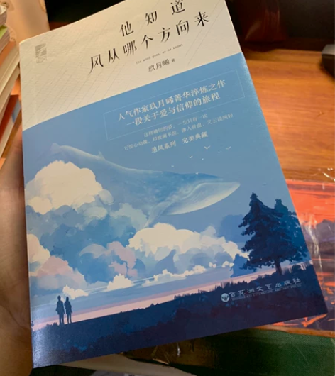 玖月晞青春文学小说 《他知道风从哪个方向来...