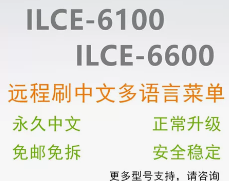 Sony索尼微单相机ILCE A6100 ...