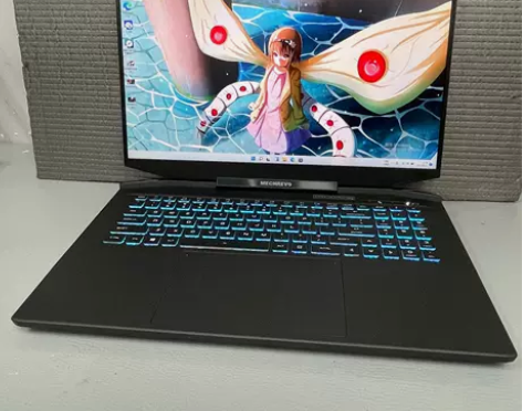 99新机械革命钛钽PLUS i7 11代 ...