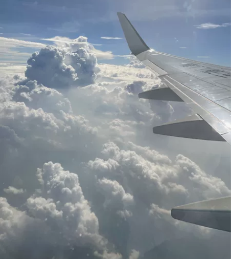 初级会计职称考试， 英语四六级考试等有需要...