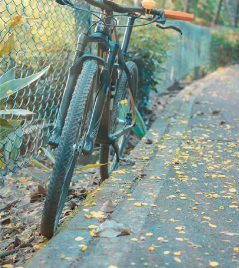 出一辆喜德盛20周年庆 配置问度娘，基本在...
