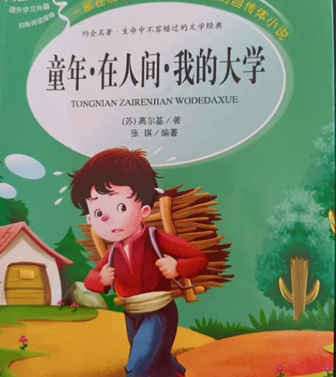 童年在人间我的大学（彩图版）9元 一只想飞...