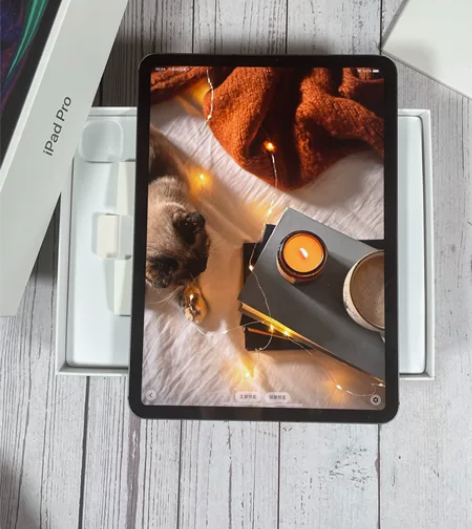 2020款 iPad  Pro4代 12....