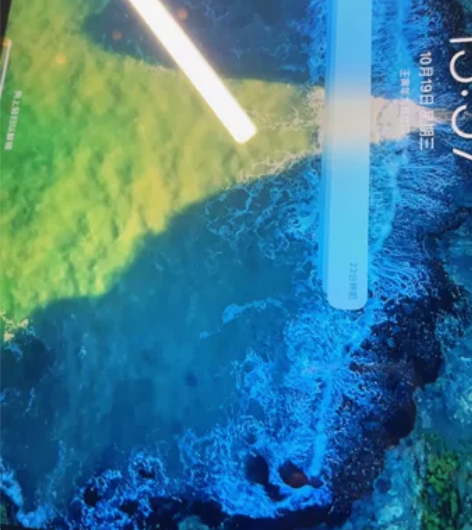 学生自用iPad pro.因想换mac出手...