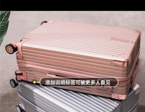 网红拉杆箱旅行箱大学生密码皮箱包24寸20...