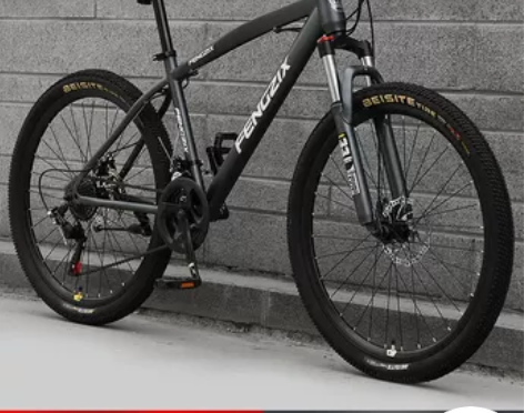 上海凤凰车件有限公司山地自行车成人男女式单...