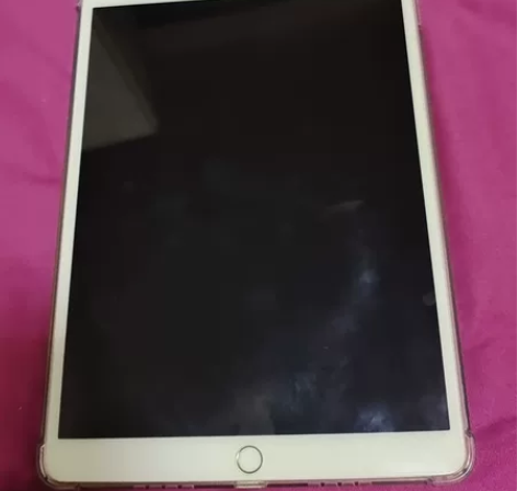 Apple/苹果 iPad pro10.5...