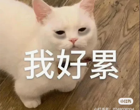 音乐剧致爱 12.31 16:30 座区2...