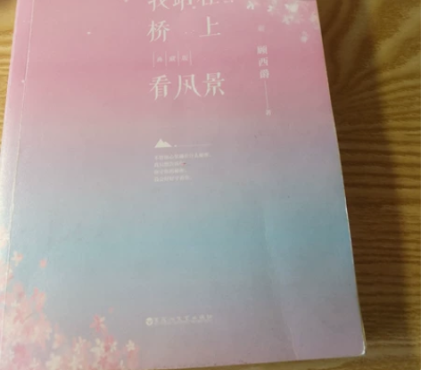 青春文学《我站在桥上看风景》新华书店原价购...