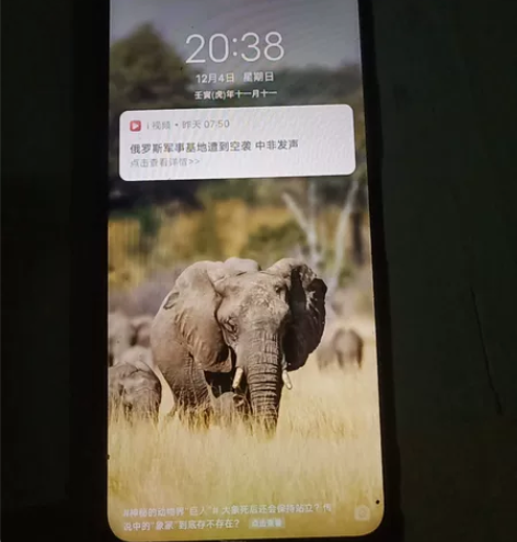 vivox31s标准版，用了1年了，想卖了...