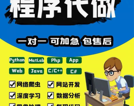 程序代做（团队皆来自985，211硕博） ...