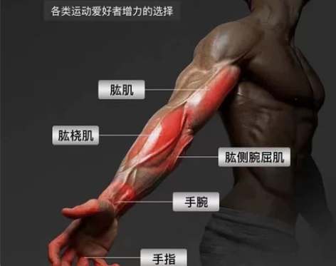 计数握力器男专业练手臂手力握力器中学生健身...