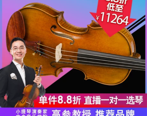 克莉丝蒂娜S700进口欧料小提琴大师级演奏...