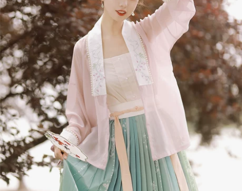 仙楚姬原创汉服女【沉香】明制对襟合领衫彩虹...