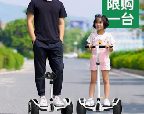 电动车 电动车领奥官方旗舰店2022新款电...