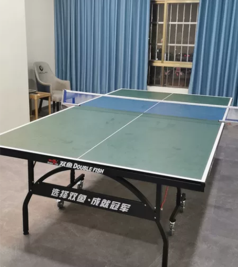 9成9新，双鱼牌乒乓球桌，刚买一个月 感兴...