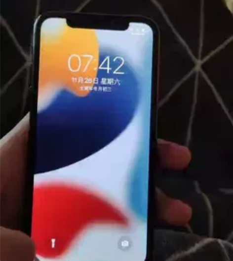 iPhonex 苹果x 从某鱼上买的游戏机...