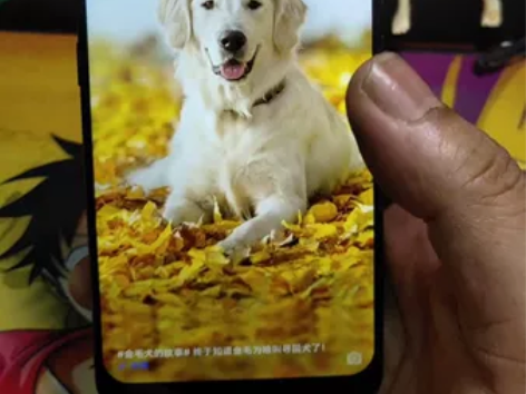 vivo X27Pro  8+256游戏拍...