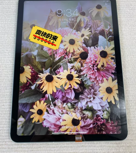 苹果iPad Air4 四代 10.9寸 ...