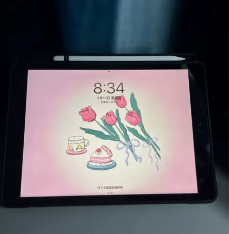 自用 出2020款iPad平板电脑 128...