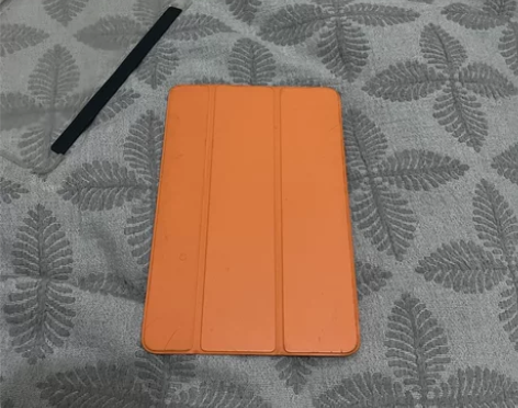 iPad Mini 5 的智能保护盖 木瓜...
