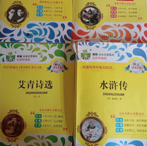 状元龙初中必读名著 水浒传/傅雷家书/钢铁...