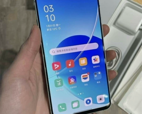 oppo 成色很好98新 全面屏智能手机双...