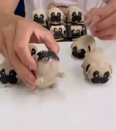 【一件包邮】创意减压拉拉哈巴狗  玩具儿童...