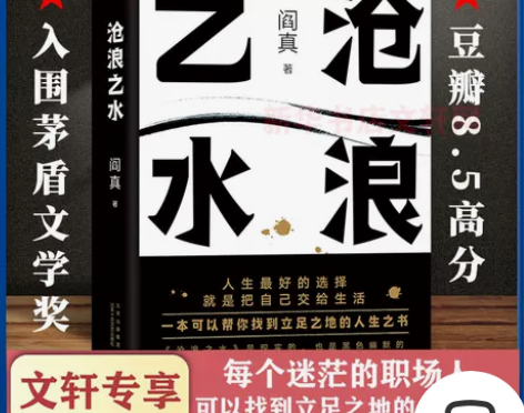 阎真 沧浪之水 现当代经典职场小说  电视...