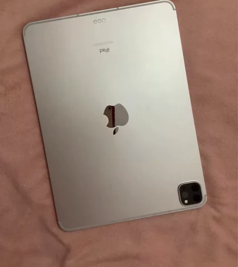 Apple/苹果 iPad Pro 11英...