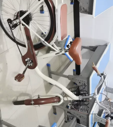 自行车女式22寸飞鸽铁锚淑女自行车，24速...