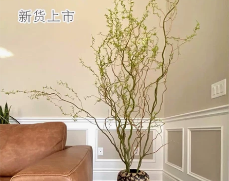 水培龙柳鲜枝客厅插花落地客厅桌摆植物易活观...