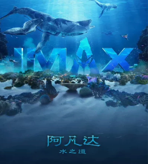 周一至周五22时-次日12时，阿凡达ima...