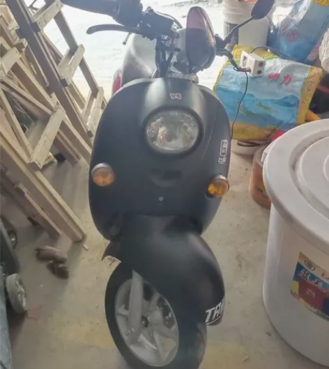 台铃品牌电动车，全原装，好开，续航30公里...