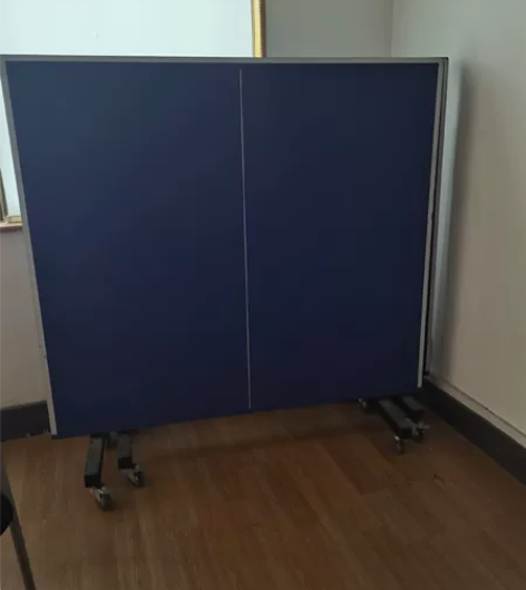 公司搬家 处理乒乓球台一个  499 感兴...