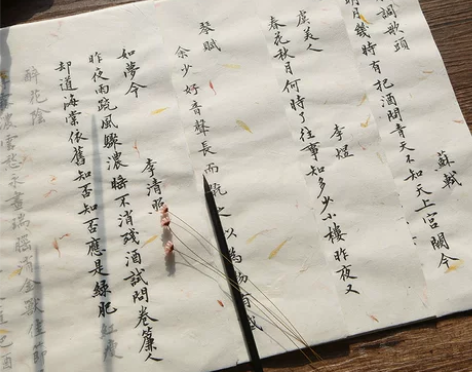 行楷宋词临摹毛笔字帖小楷花草宣纸李清照词女...