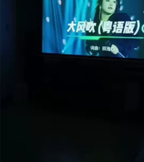 Sharp/夏普 XG-D258XA 夏普...