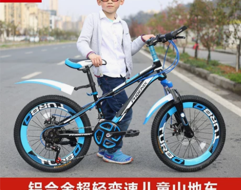 凤凰儿童山地自行车18寸20寸22寸男女学...