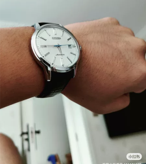 西铁城机械表nk0000 神似精工冠蓝狮G...