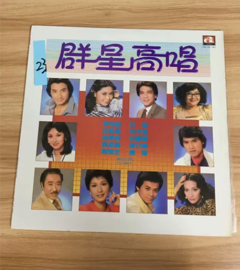 中国流行歌曲唱片，群星高唱黑胶唱片LP，明...