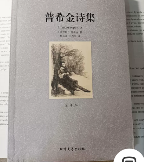 《普希金诗集》 私聊议价轻微使用痕迹￥10...