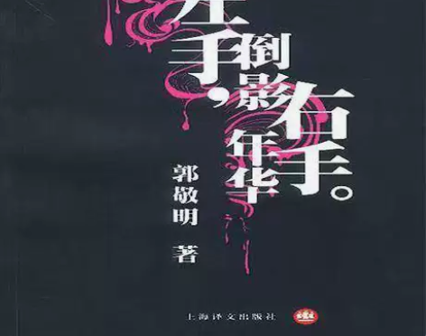 左手倒影,右手年华/郭敬明 郭敬明文集—左...