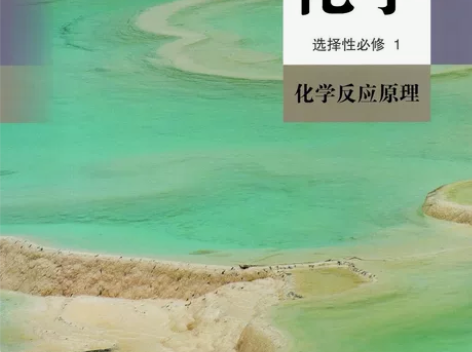 接高中化学辅导 名师 在职 重点校 化学选...